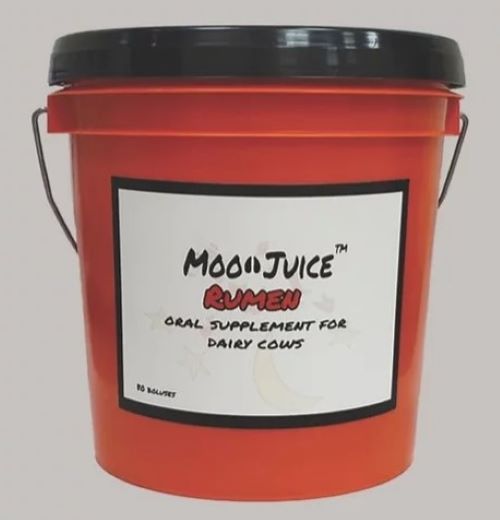 Moo Juice Rumen -- 80 boluses